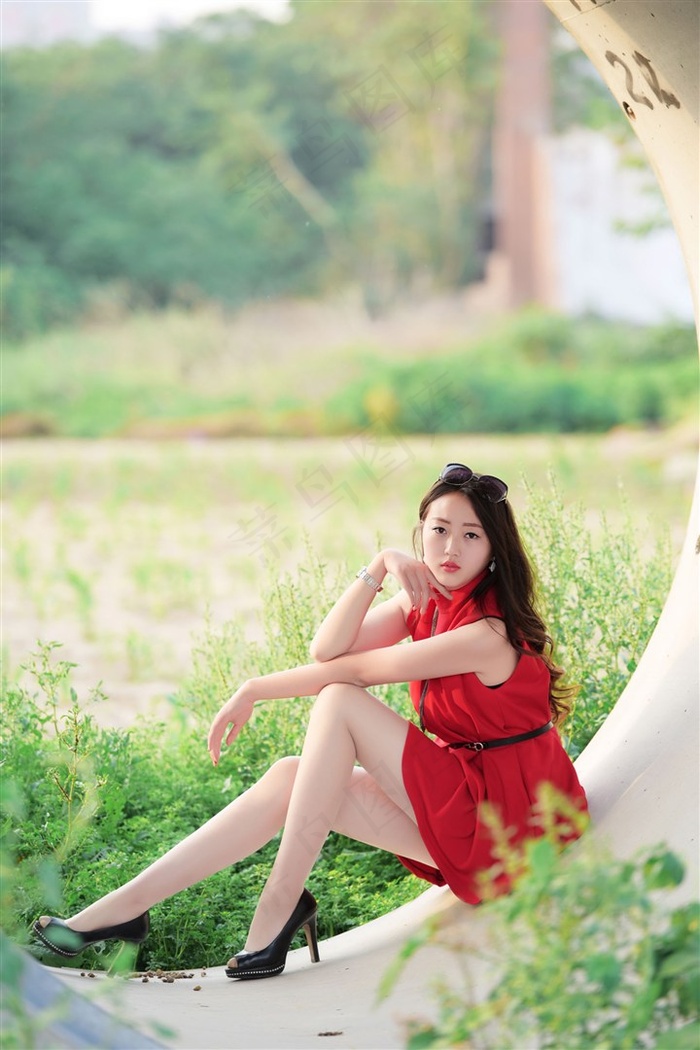 一级中文高清不卡在线影片